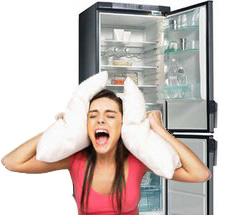 Почему шумит холодильник - ликбес от интернет-магазина Один Звонок.ру